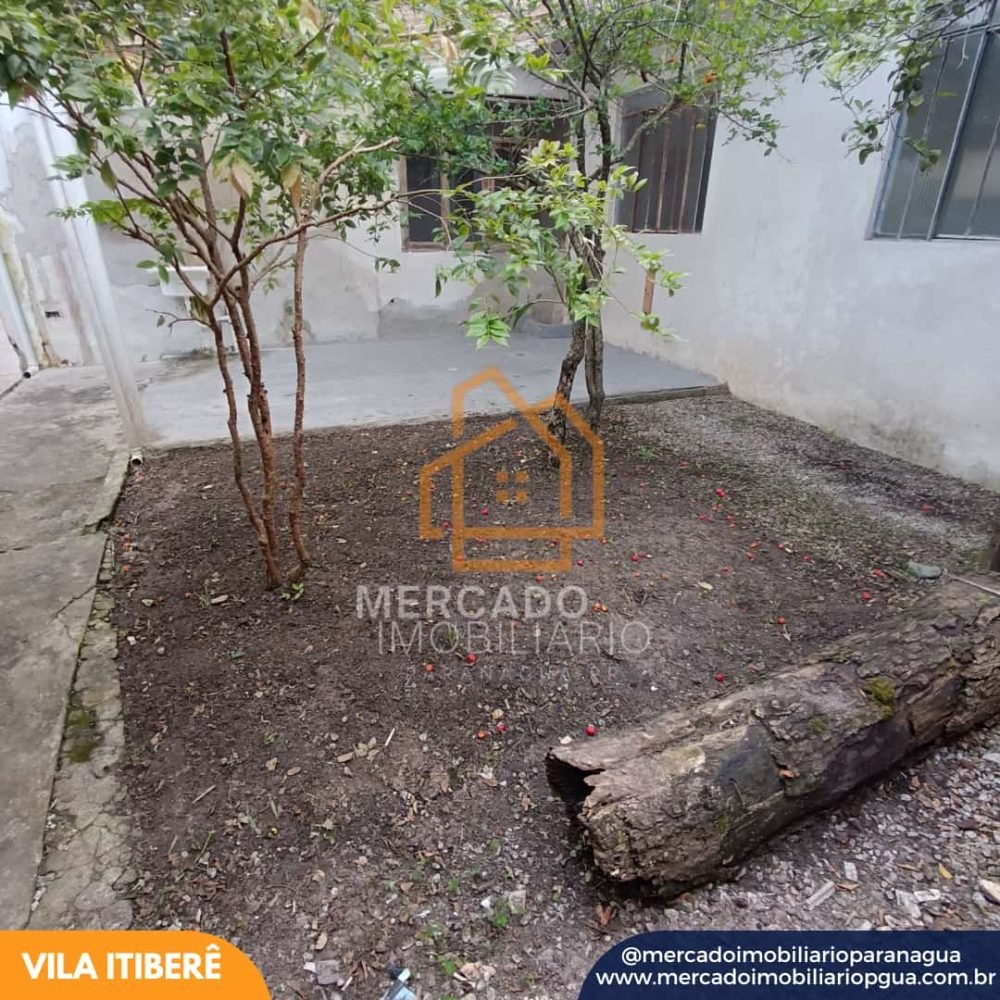 WhatsApp Image 2024-11-21 at 16.44.13